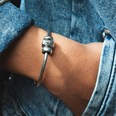 Ezüst Armadillo Bead - Trollbeads Ékszerek Magyarország